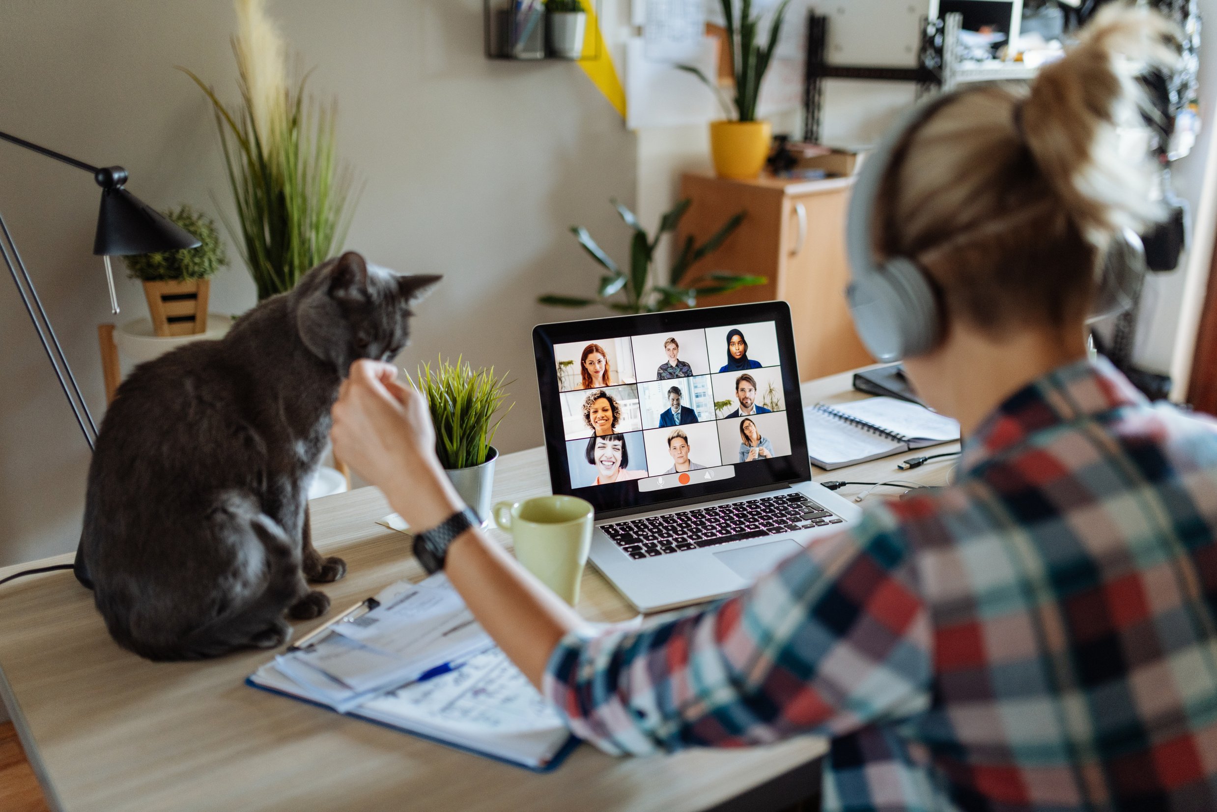 Woman with cat working from home